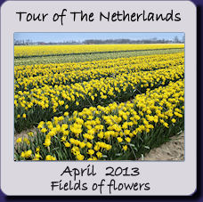 Netherlands fields of flowers