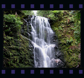 Big Basin