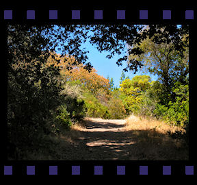 Black Mtn