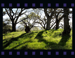 Rancho_SA