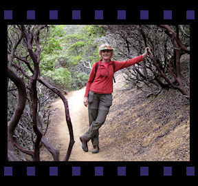 Montara Mt