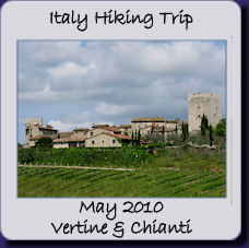 Italy 2010 Vertine