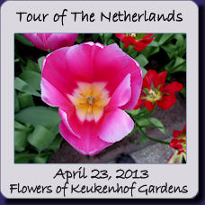 Netherlands flowers of Keukenhof