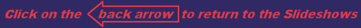 back button